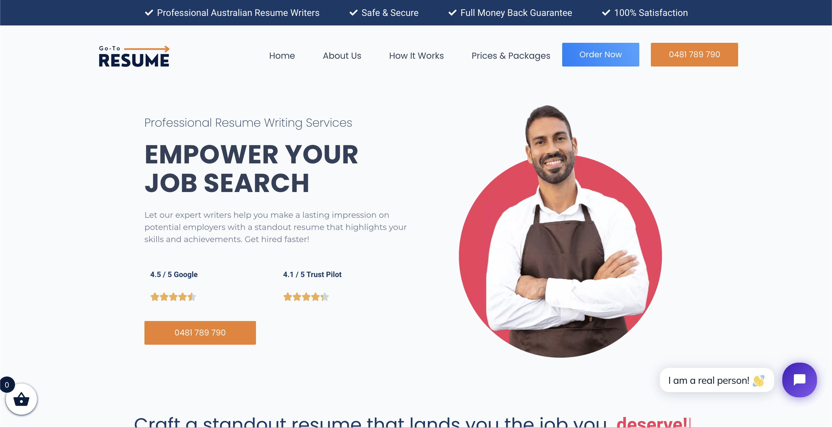 Go-to Resume - Professional Services and Online Ecommerce Website Design